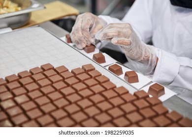 This Photo Was Taken For A Worker Working At A Chocolate Factory Maker When He Packaging  