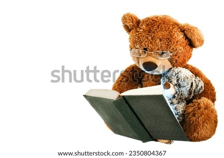 This is a photo of a teddy bear with glasses and a little bear reading a book.

He has brown fur. The book is green with white pages.

Background white isolated