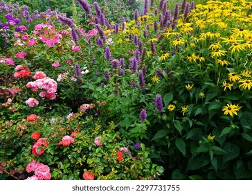 This is a photograph of a beautiful flower garden. The garden is filled with various types and colors of flowers that are in full bloom. Some of the flowers are pink, yellow, purple. - Powered by Shutterstock