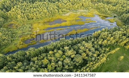 This photograph captures the breathtaking expanse of a wetland ecosystem from an aerial perspective, showcasing the vivid interplay between land and water. The lush greens of the foliage contrast with