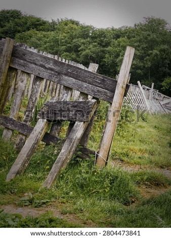 This photograph captures an imposing, aged wooden farm fence standing against a backdrop of dense woodland. The overgrown grasses and diffused light contribute to a rustic, quiet mood, highlighting the textures of the weathered wood in this quintessential British countryside setting.