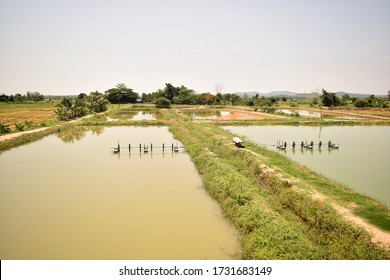 This Pic Show The Earth Ponds With The Paddle Wheels Aerator  In Aquaculture Pond