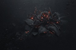 This Picture Of A Black Rose Illustration