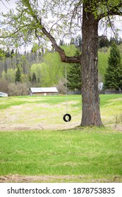 This Is A Picture Of An Empty Tire Swing. It Was Taken At Giscome  BC Canada. It Was Taken On May 17 2020