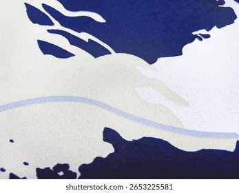 this is a picture of the fabric pattern 