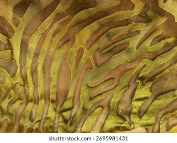 this is a picture of the fabric pattern 