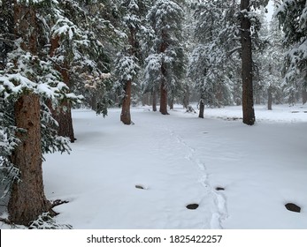 This Picture Is Shot At Echo Lake Park Which Is Located Around 10000 Ft High Surrounded By Mountains