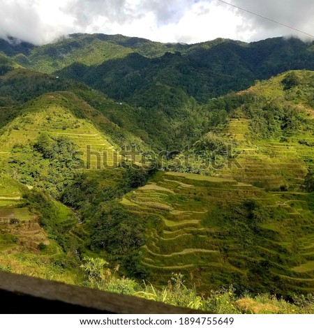 This picture shows the famous Banaue Rice Terraces of Benguet in the Philppines.