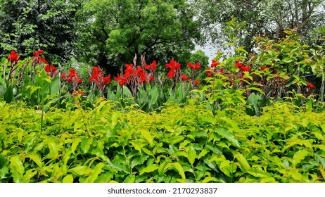 This Picture Taken From National Zoological Park In Delhi 