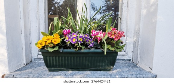 This is a plastia Mareta rectangular plastic flower box planter. 