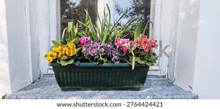 This is a plastia Mareta rectangular plastic flower box planter. 