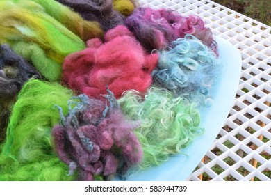 This Is A Plate Of Freshly Dyed Wool Roving And Spinning Fibers.