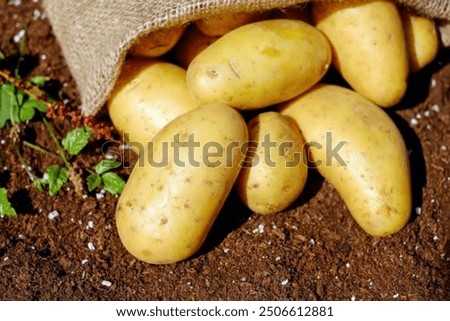 Image, Stock Photo Some things you only learn to appreciate when they are no longer there …