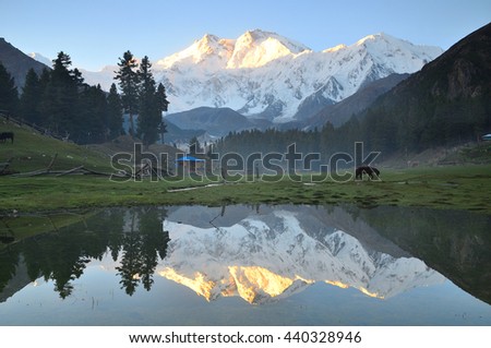 This is reflection of nanga parbat mountain before sunrise at fairy meadows ,north Pakistan 