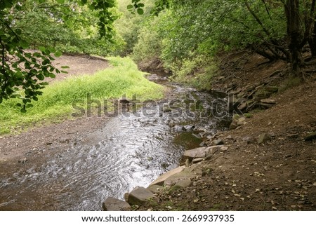 This river is all that is left of Dale Dyke Resrvoir - August 2025