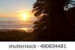 This is Ruby Beach in the Olympic National Park, Washington.