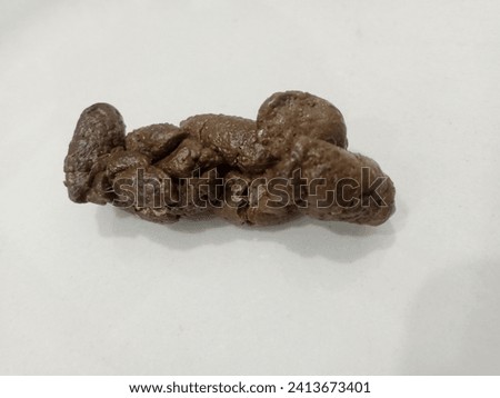 this is sample Dog poop normal in the floor from vet clinic 