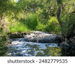 This is the San Diego River in the Mission Trails Regional Park, Santee, California.  The picture was taken in Summer.