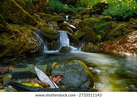 This scene captures the quiet magic of the Mohare Danda Trek, a lesser-known yet soul-stirring trail in Nepal’s Annapurna region.Mohare Danda is celebrated for its peaceful paths, eco-friendly villages, and panoramic mountain views, including Annapurna South, Dhaulagiri, and Machhapuchhre on clear days. This small waterfall picutre is shot on the way to Mohare Danda wiht long exposure.A small waterfall flows gently through the landscape, its clear water tumbling over smooth rocks with a soft, calming rhythm. Surrounded by moss, greenery, and the quiet sounds of nature, it feels like a hidden pause along the trail—a place where time slows down.