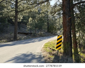 This semiotic warns drivers of an object near the roadway -- the diagonal aiming down to the left means 