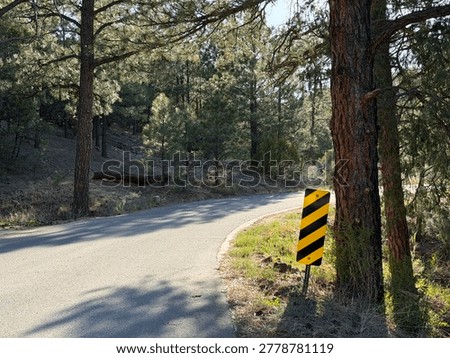 This semiotic warns drivers of an object near the roadway -- the diagonal aiming down to the left means 