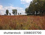 This September image of a prairie and savanna habitat was taken at Prophetstown State Park near Lafayette, Indiana.