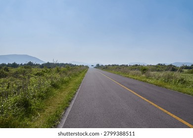         This serene scenery captures an empty asphalt highway stretching endlessly across Jeju Island. Lush green vegetation and trees line both sides of the peaceful path. In the distance towering turbines harness sustainable energy under a bright clear blue sky. The absence of utility poles creates a clean unobstructed view of the natural environment and distant mountains. This tranquil landscape offers excellent copy space making it ideal for eco friendly travel driving and green technology themes.                       