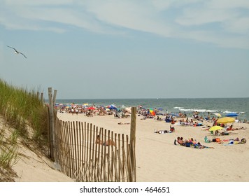 This Is A Shot Of Island Beach State Park Along The Jersey Shore.