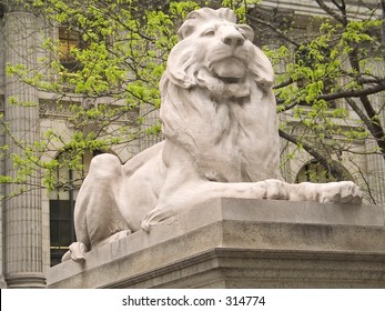 This Is A Shot Of The Lion In Front Of The NYC Public Library.