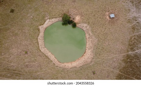 173 Cow drinking fountain Images, Stock Photos & Vectors | Shutterstock