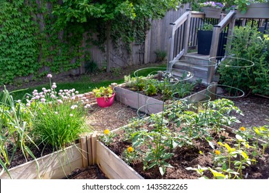 Garden Mulch Stock Photos Images Photography Shutterstock