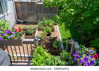 This Small Urban Backyard Garden Contains Square Raised Planting Beds For Growing Vegetables And Herbs Throughout The Summer.  Paver Edging Is Used To Keep Grass Out, And Mulch Helps Keep Weeds Down.