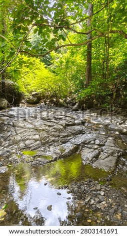 This small waterfall is surrounded by abundant natural beauty. The water is clear and cool, and there are wild fruits and symbiotic plants growing in a symbiotic relationship, making it an ideal place for a relaxing holiday