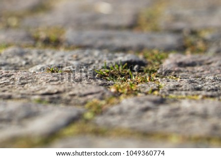 Similar – Image, Stock Photo green ways (1) Pave Furrow