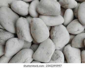 This stone is a rock that comes from the ocean and is formed naturally. Oval in shape, milky white in color and has fine pores - Shutterstock ID 2342295997