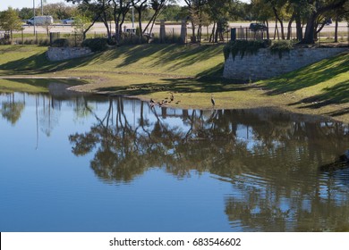 This Stormwater Pond Is A Favorite With All Sorts Of Water Fowl