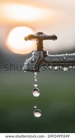 This striking image captures the precise moment a single water droplet forms and falls from an open tap.