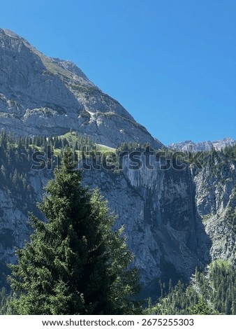 This stunning image captures Seebensee, a lake in Austria situated near the majestic Alps, close to the stunning peak of the Zugspit