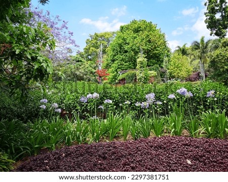 This stunning image captures the vibrant beauty of Roma Street Parkland located in Brisbane, Australia
