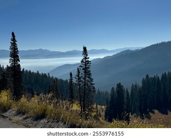 This stunning view from Grand Teton National Park near Jackson features layers of misty mountain ranges and dense pine forests, with golden autumn accents under a clear blue sky. - Powered by Shutterstock