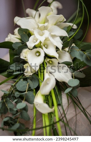This stunning wedding bouquet, with its unfurled white calla lilies, exudes elegance and grace. The lilies are beautifully complemented by the round leaves of eucalyptus and the delicate lines of bear