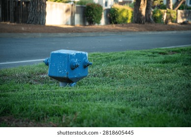 This unique, cube-shaped fire hydrant is painted a vibrant blue and stands out against the green grass and asphalt