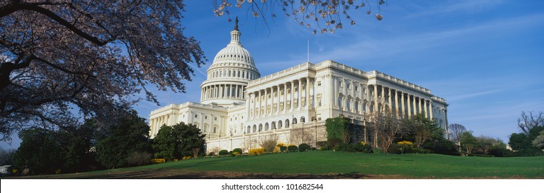 This is the U.S. Capitol in the spring with cherry blossoms. It is set against a blue sky.