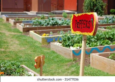 This Vacant Lot In An Inner City Neighborhood Has Been Turned Into A Community Garden