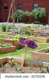 This Vacant Lot In An Inner-city Neighborhood Has Been Transformed Into A Community Garden