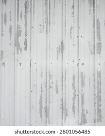 This is a vertical close up of white painted corrugated metal siding with peeling, cracking, and flaking paint revealing bare metal underneath. The surface has vertical ridges, screw heads attached in a haphazard pattern, and visible dents.