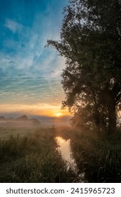This vertical image gracefully captures the serene beauty of a sunrise reflected in the still waters of a narrow creek. A stately tree dominates the left side of the frame, its leaves and branches