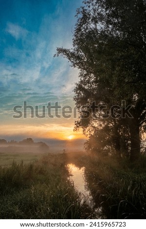 This vertical image gracefully captures the serene beauty of a sunrise reflected in the still waters of a narrow creek. A stately tree dominates the left side of the frame, its leaves and branches