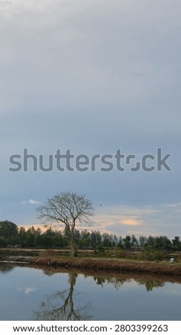 This vertically oriented (portrait) photo features a calm and peaceful natural landscape, likely taken during a cloudy dawn or early morning around a fishpond or a small lake.