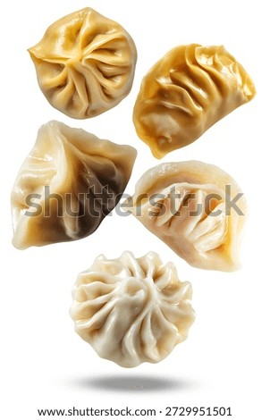 This vibrant, high-angle shot showcases an artistic arrangement of assorted dumplings, seemingly floating against a pure white canvas. The image emphasizes the unique shapes and textures of each piece, offering a lively and appealing visual for food-related content, advertisements, or recipe features.